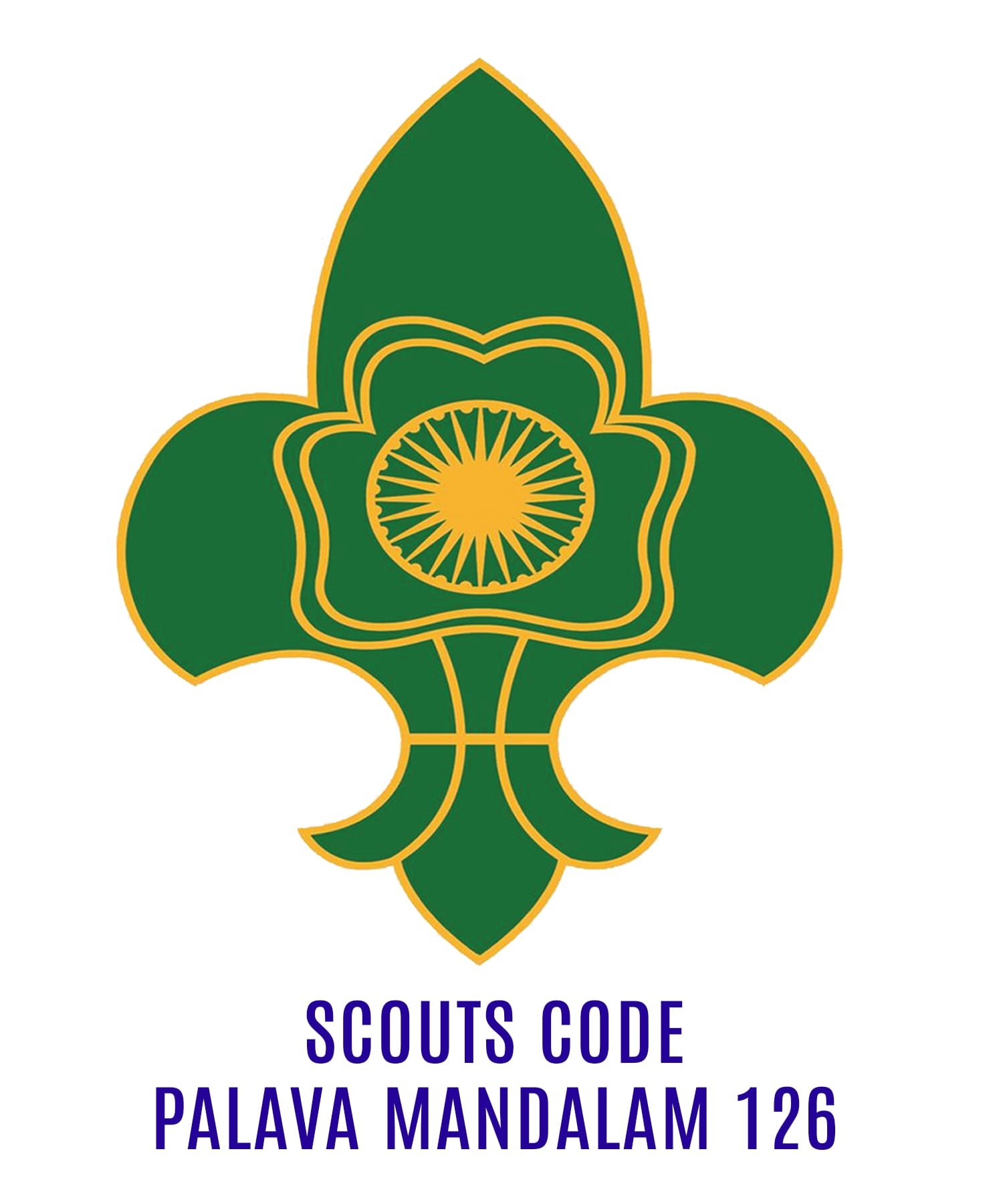 SCOUTS CODE