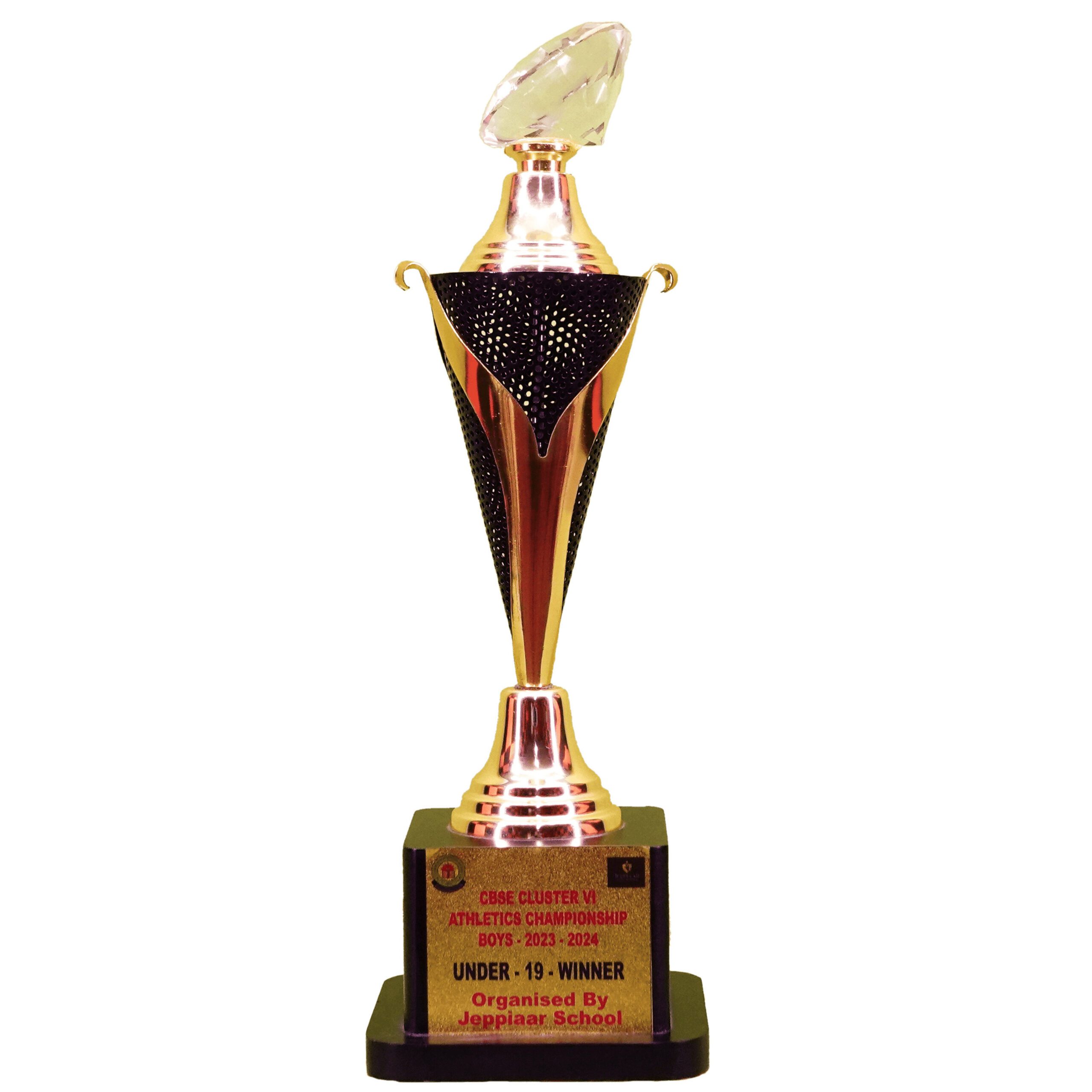 CBSE Cluster-VI Athletics Championship Boy 2023-24